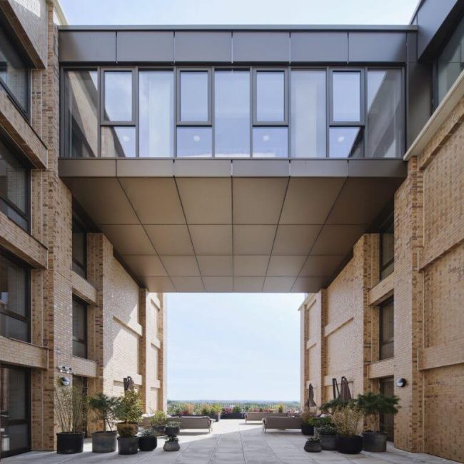 The Palm House terrace